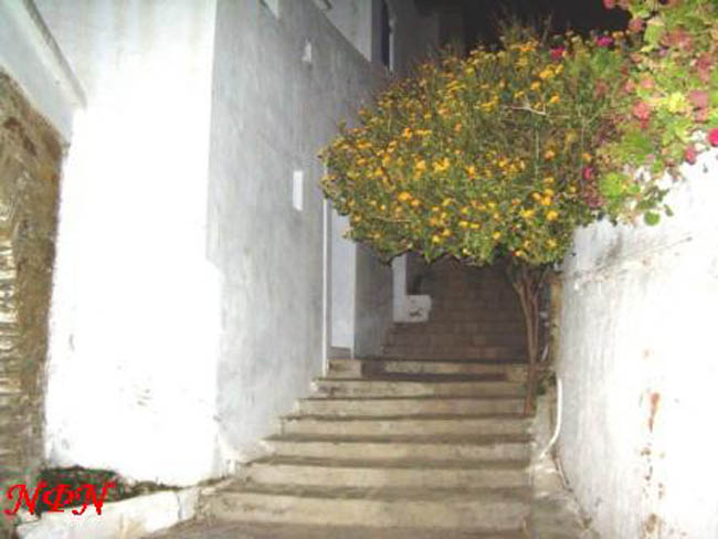 2008.23.8os Komi 012